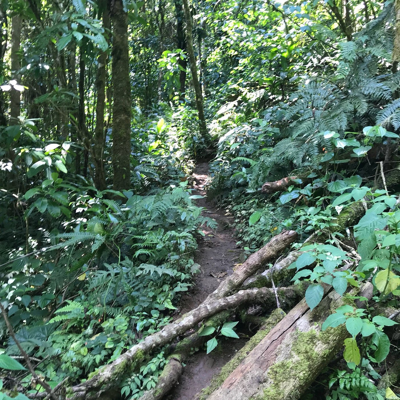 Acesso A Logoa Amelia